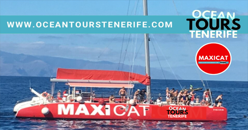 Maxicat Catamarans Tenerife