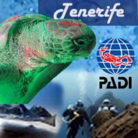 Tenerife Scuba Diving Course