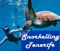 Tenerife Snorkelling and Sea Turtle Watching