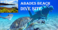 Abades Dive Site