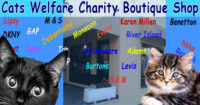 Cats Welfare Tenerife