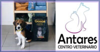 Centro Veterinario Antares