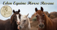 Eden Equine Horse Rescue