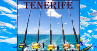 Fishing in Tenerife