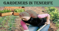 Gardeners in Tenerife