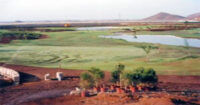 Los Palos Golf Course