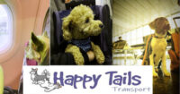 Happy Tails Pet Transport