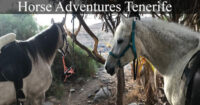 Horse Adventures Tenerife