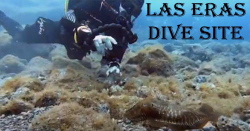 Tenerife Diving Site