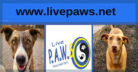 Live PAWS Rescued Animals