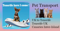 Pet Transport Services in Tenerife