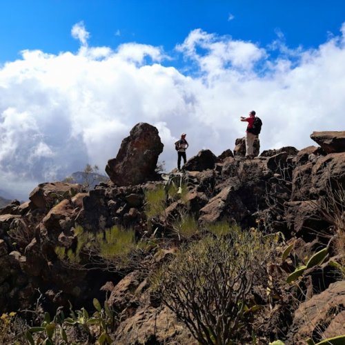 Easy Walking Holiday in Tenerife