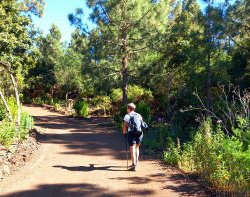 Walking Holiday in Tenerife